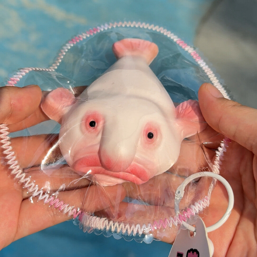 Blobfish Taba Squishy Toy