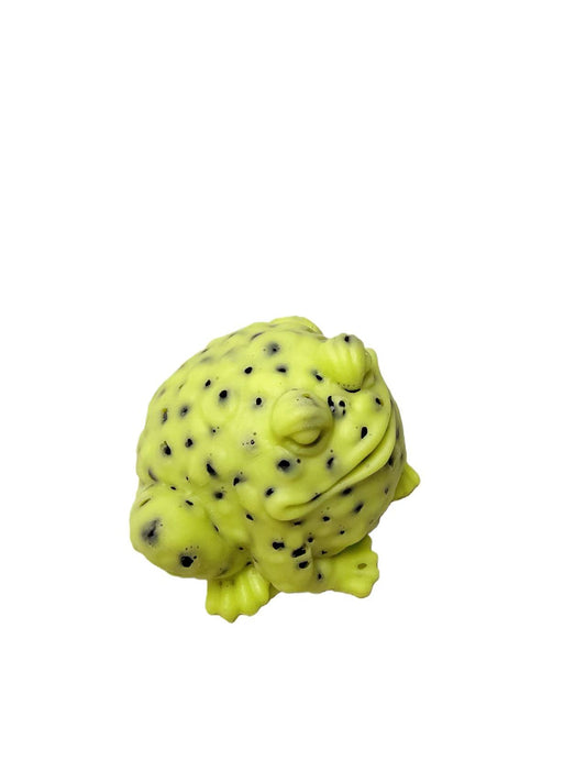 Little Frog Water Beads Pimple Popper Picky Fidget Toys for Stress Relief