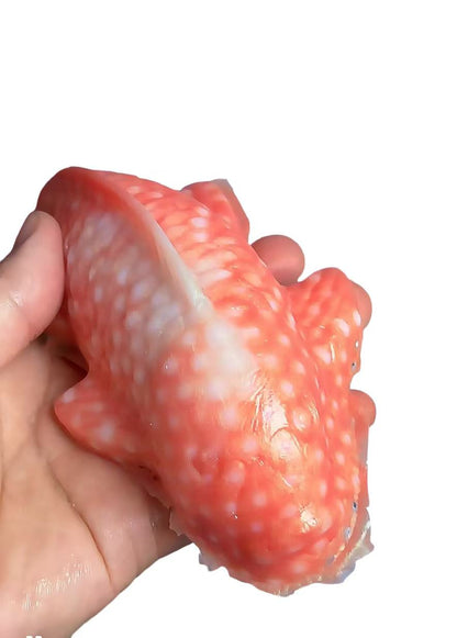 Small Carp Water Beads Pimple Popper Picky Fidget Toys for Stress Relief