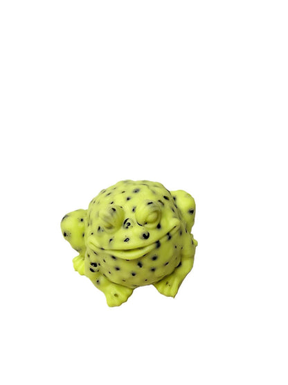 Little Frog Water Beads Pimple Popper Picky Fidget Toys for Stress Relief