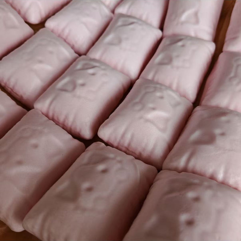 Slow Rising Squishy Cat Pillow