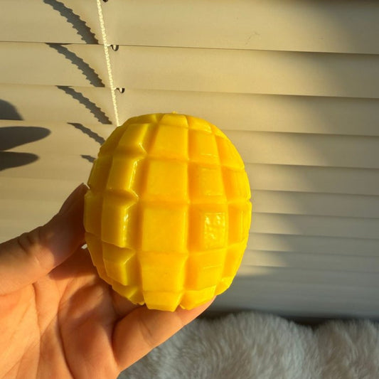 Juicy Mango Slice